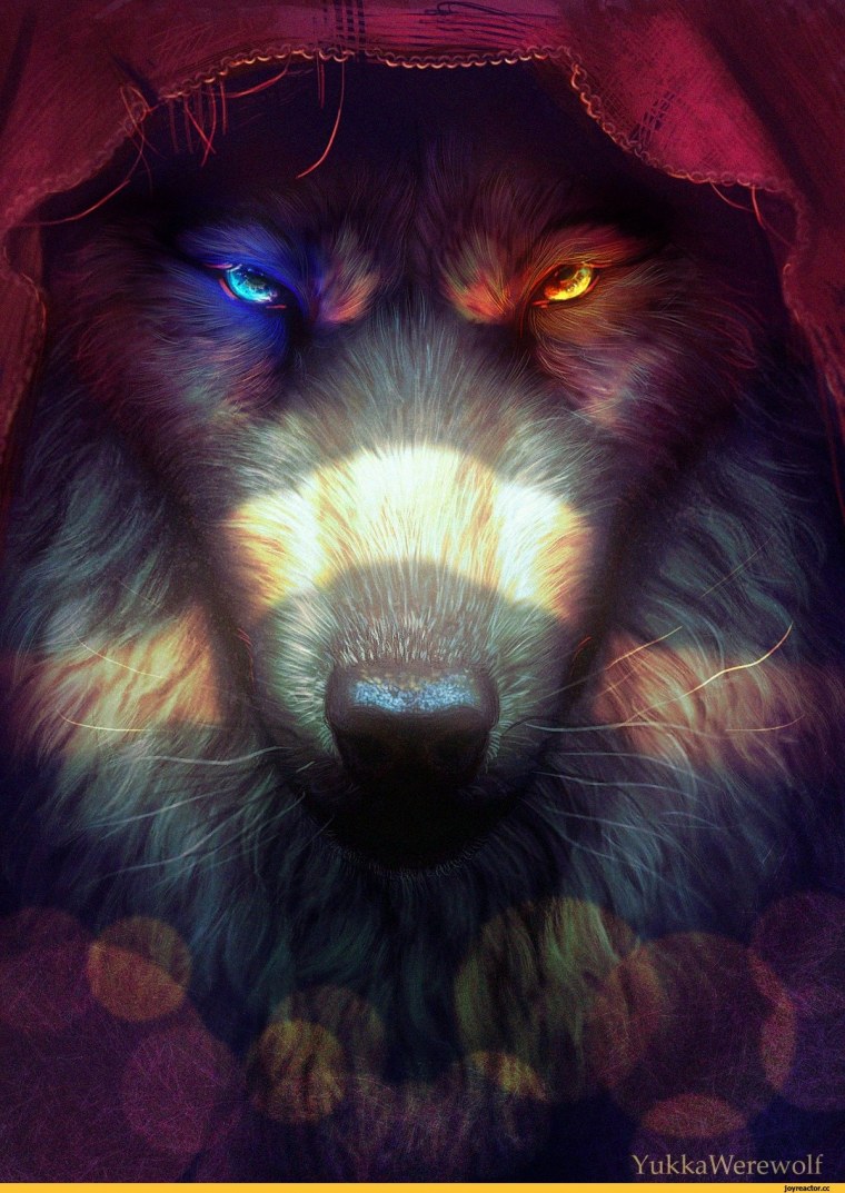 Фиолетовый волк