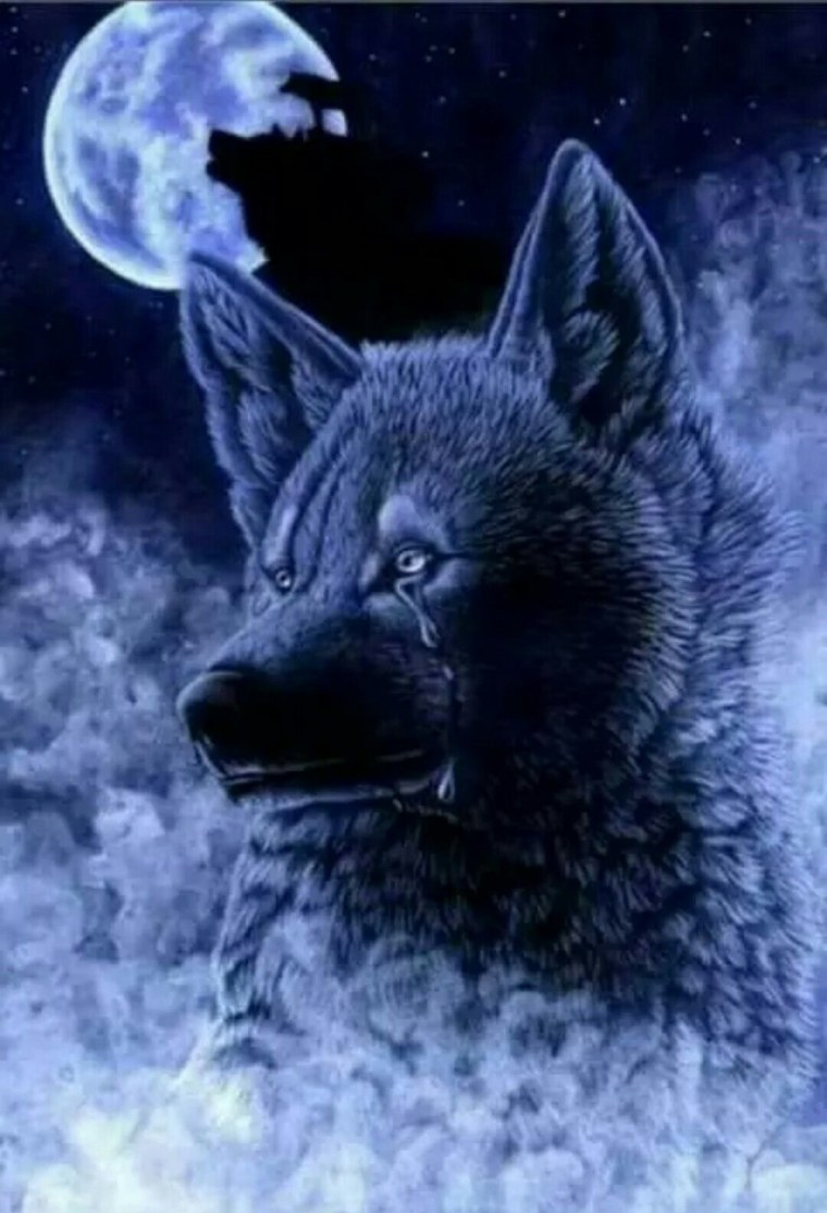 Одинокая волчица