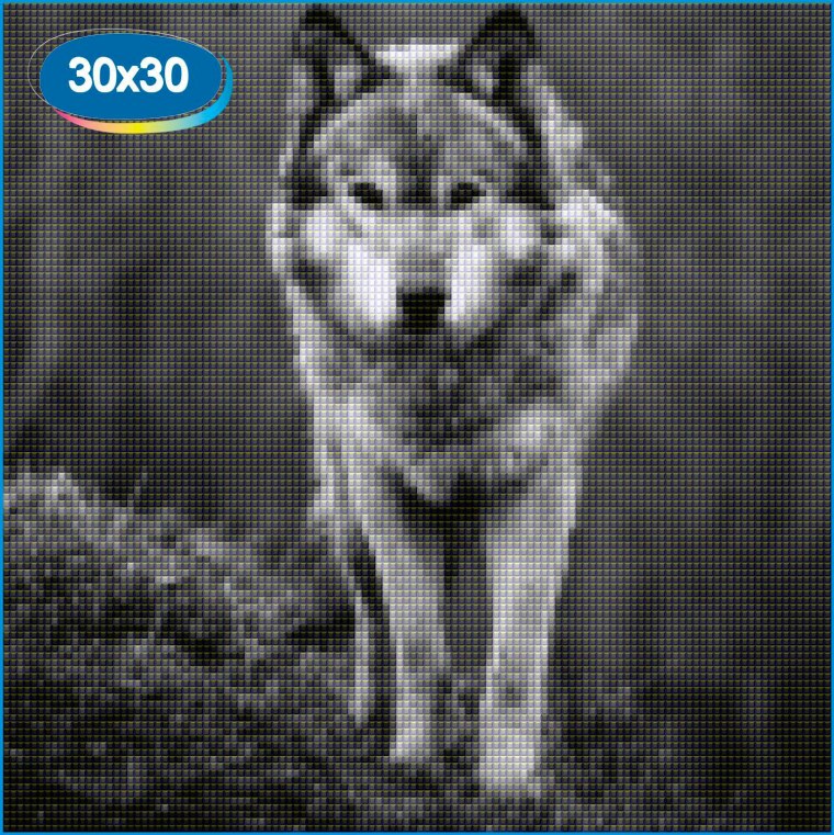 Волк воет на луну