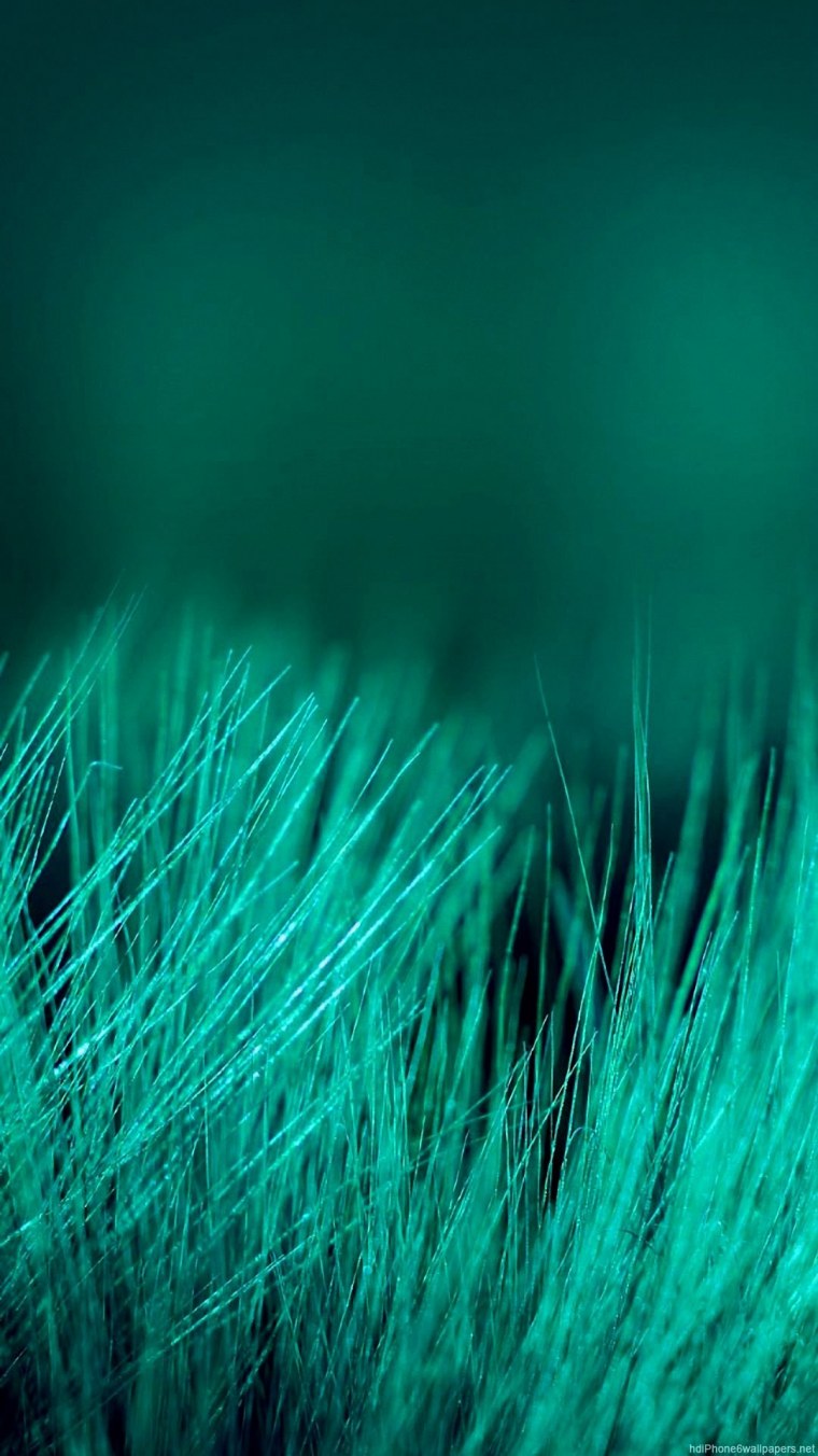 Сине зеленый