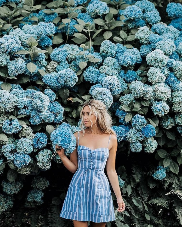 Фотосессия с гортензией