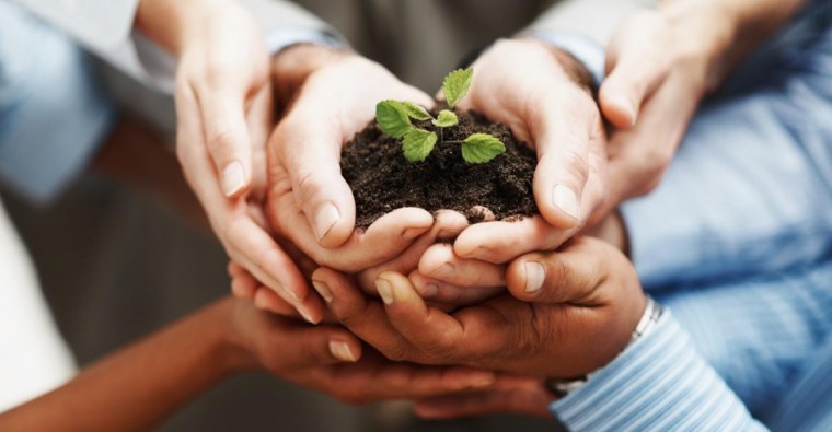 Экология и бизнес