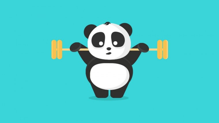 Panda Операционная система
