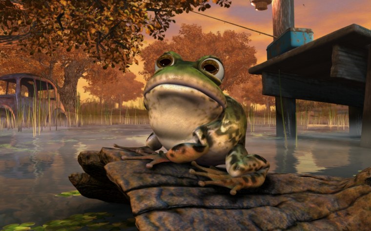 Лягушка футаж