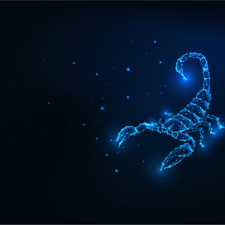 Скорпион на синем фоне