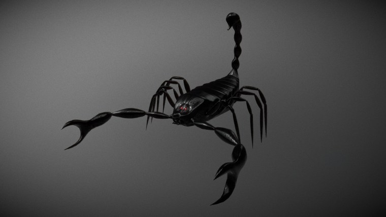 Скорпион фото картинки