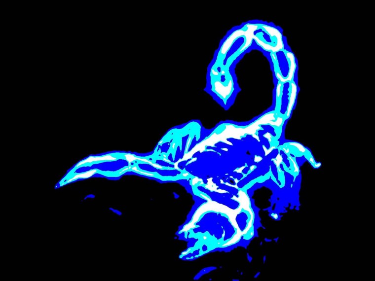 Скорпион на синем фоне