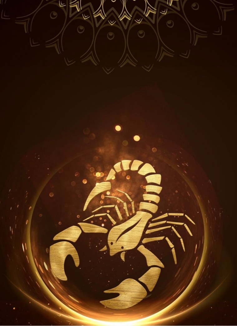 Скорпион обои
