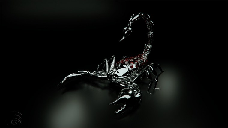 Обои на рабочий стол Скорпион