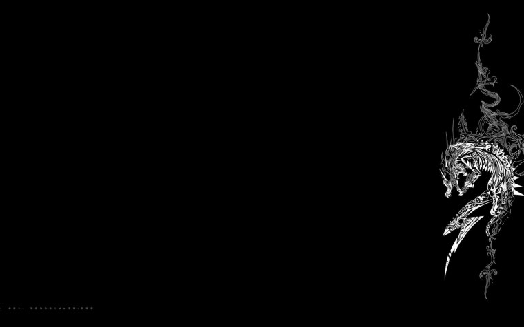 Белый дракон на черном фоне