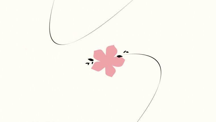 Цветы Минимализм