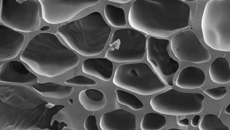 Пластик под микроскопом