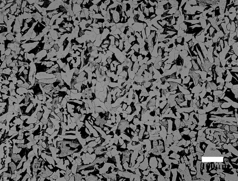 Сталь 10 микроструктура феррит+перлит