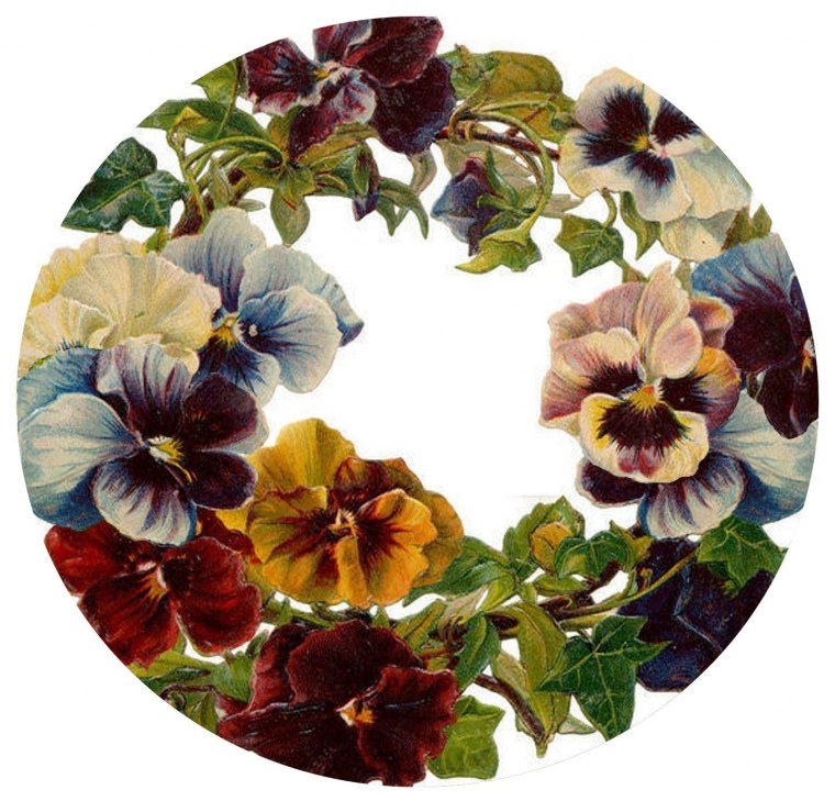 Анютины глазки арт нуво