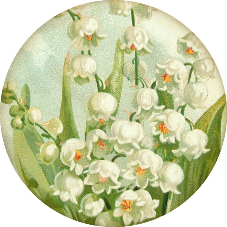 Весенние цветы в круге