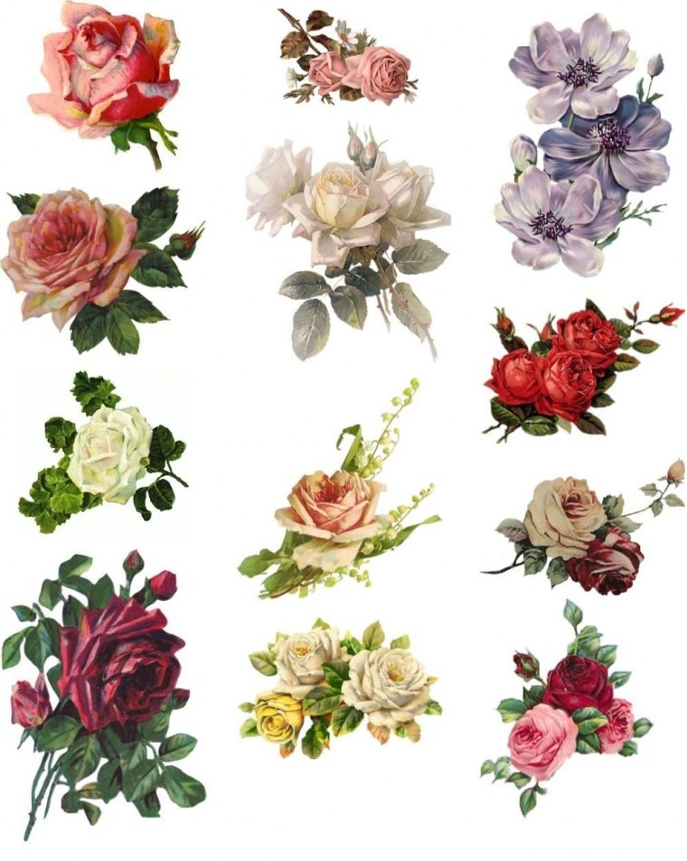 Цветы для декупажа для печати на принтере