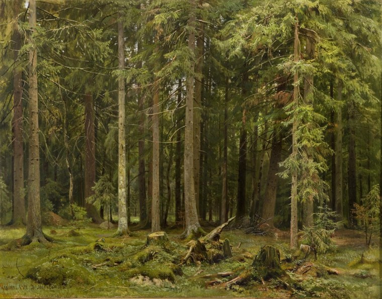 Шишкин Сестрорецкий Бор 1886