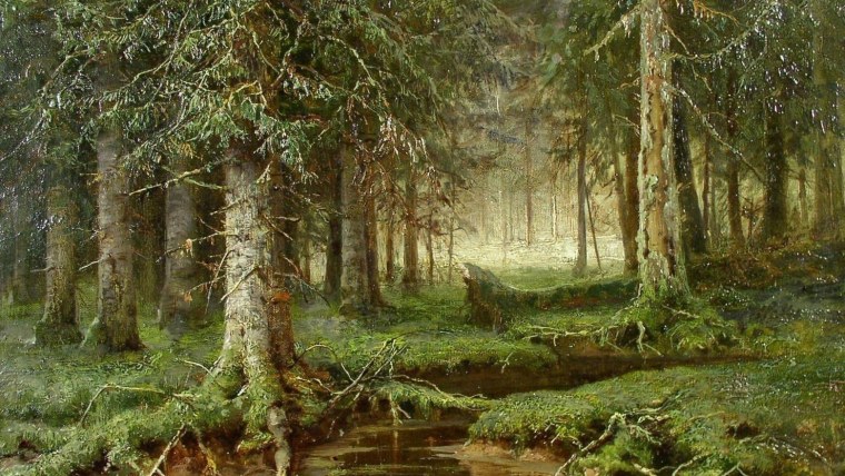 Киевская картинная галерея Шишкин Иван