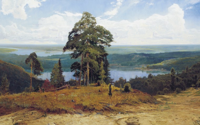 Александр Афонин картины