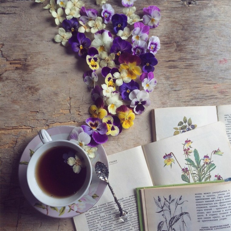 Фиолетовый чай Эстетика