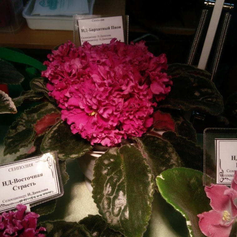 Крючок Gamakatsu LS-3615f