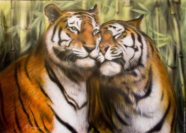 Амурский тигр