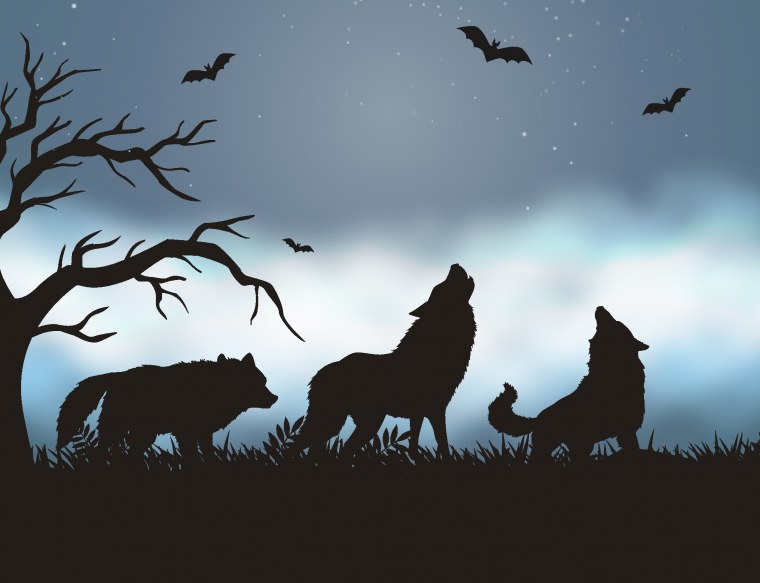 Стая Волков силуэт