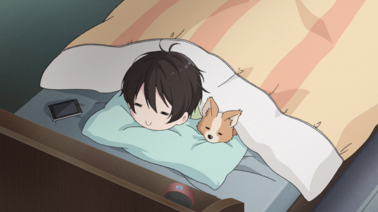 Аниме Сонный