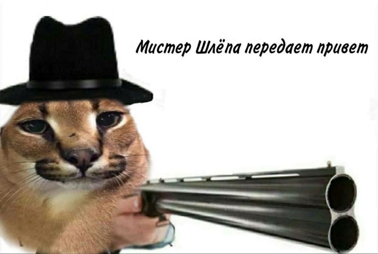 Шлепа кот с пистолетом