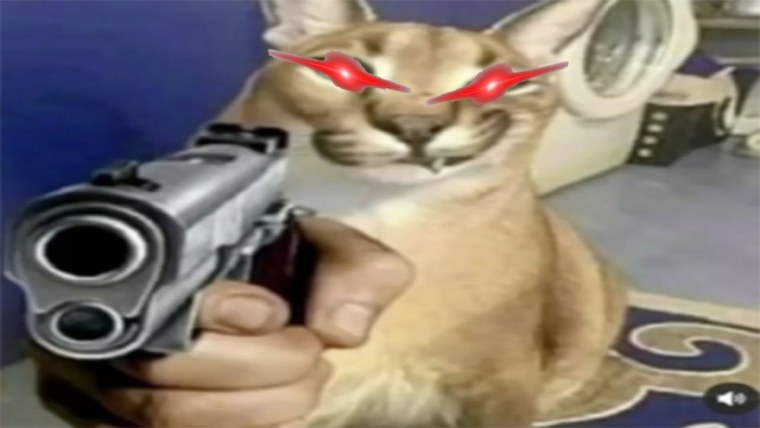 Шлепа кот с пистолетом
