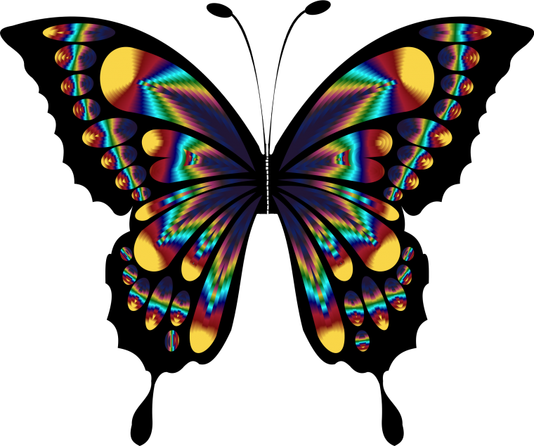 Махаон эскиз