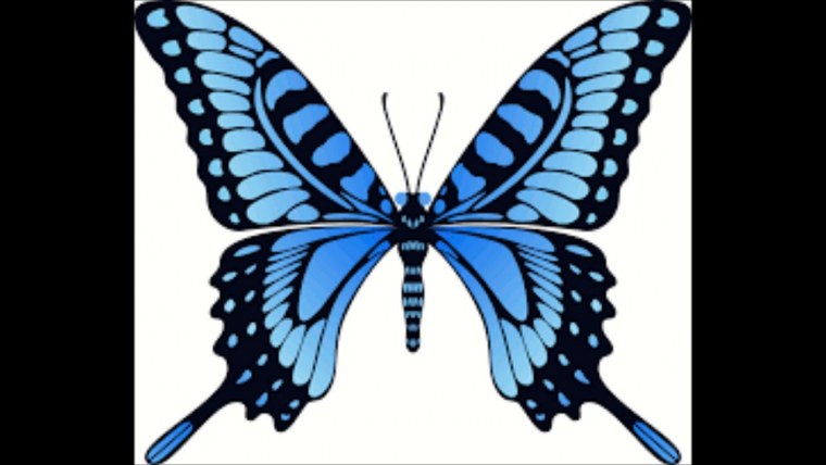 Бесцветные бабочки