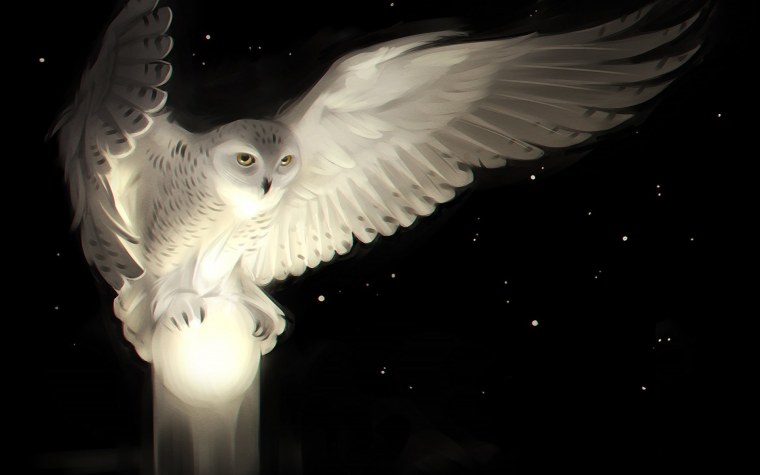 Полярная Сова арт