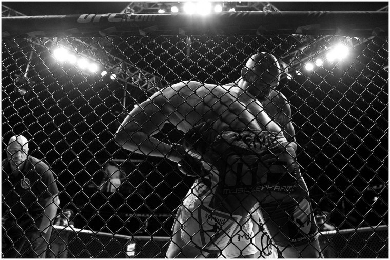 Октагон UFC сетка