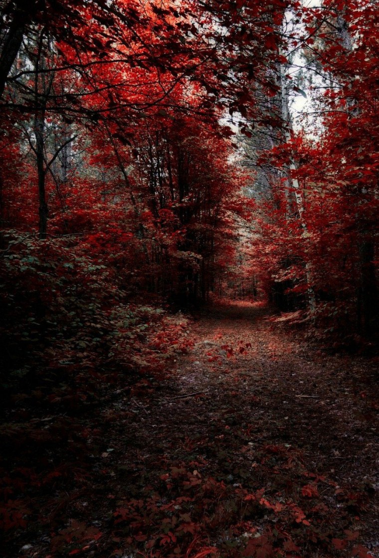 Черные обои