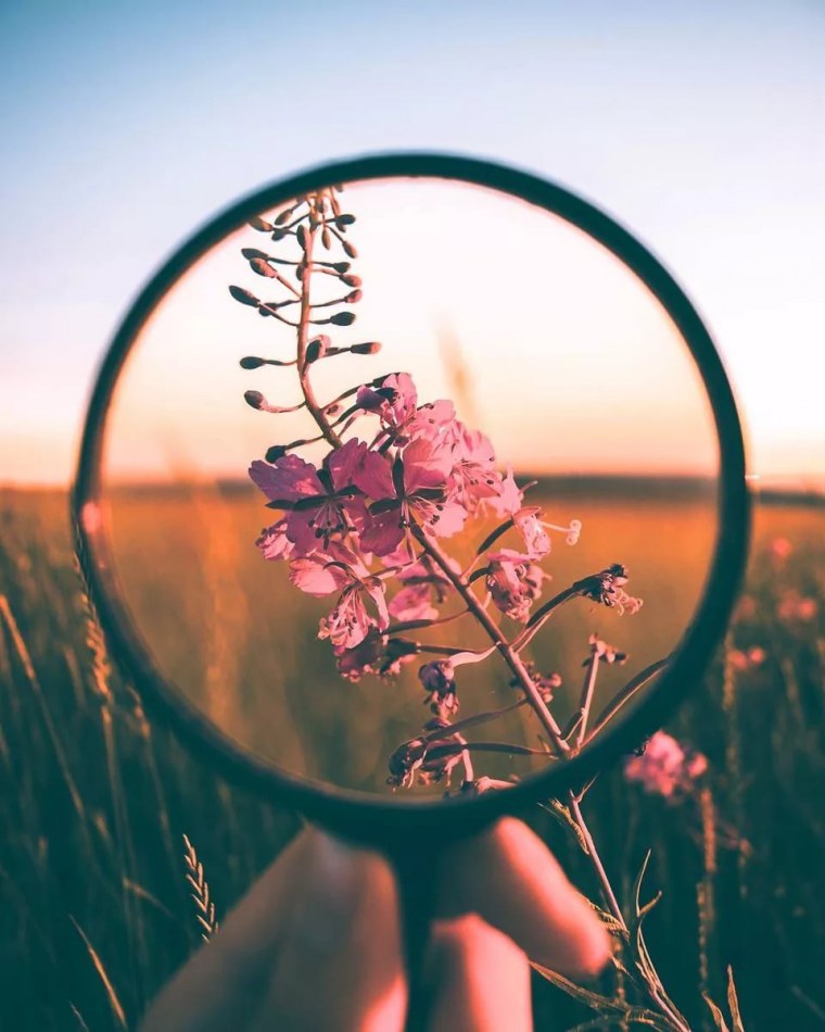 Весна Эстетика