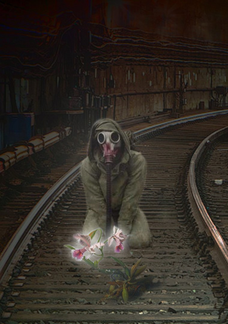 Ботанический сад метро 2033 станции