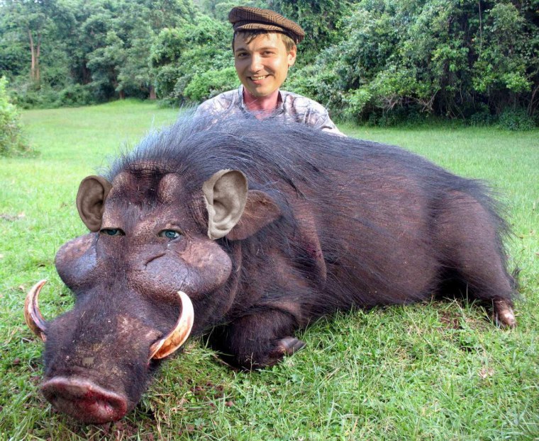 Кабан боров хряк свинья