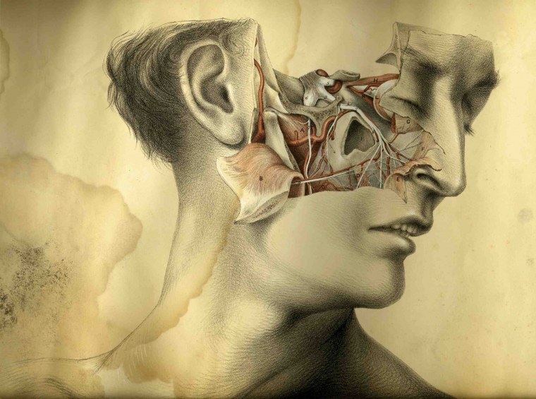 Картина голова