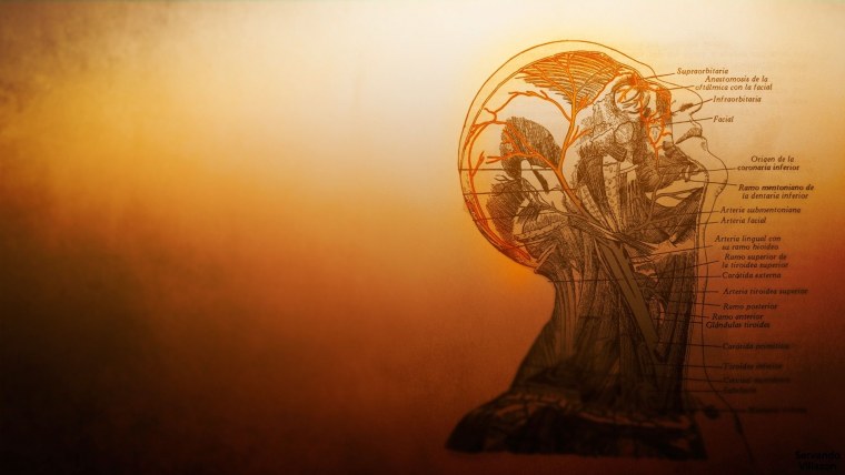 Медицина Эстетика