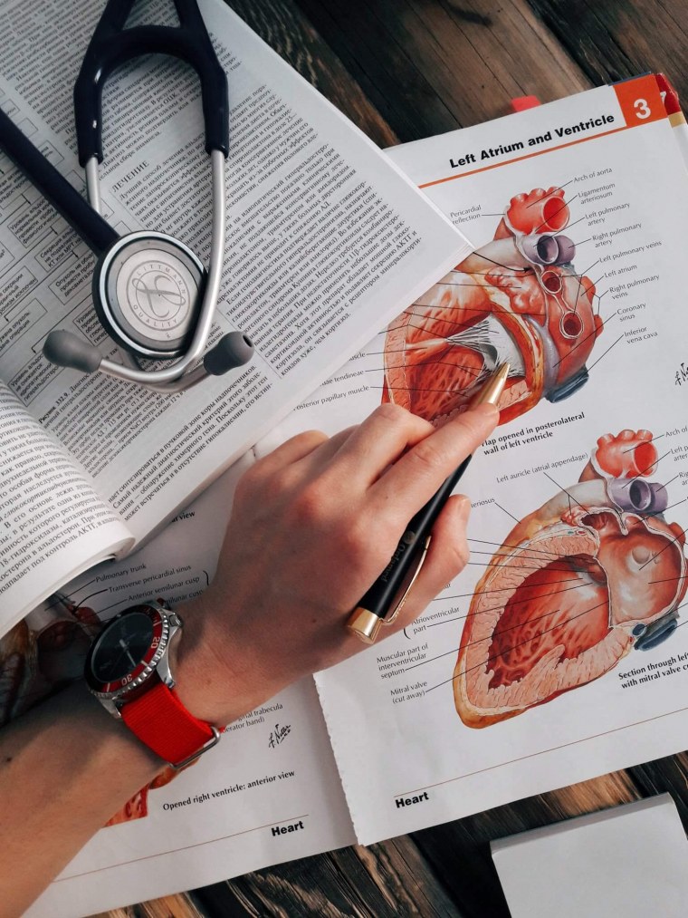 Медицина Эстетика анатомия