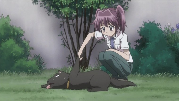 Альбом рисунков аниме