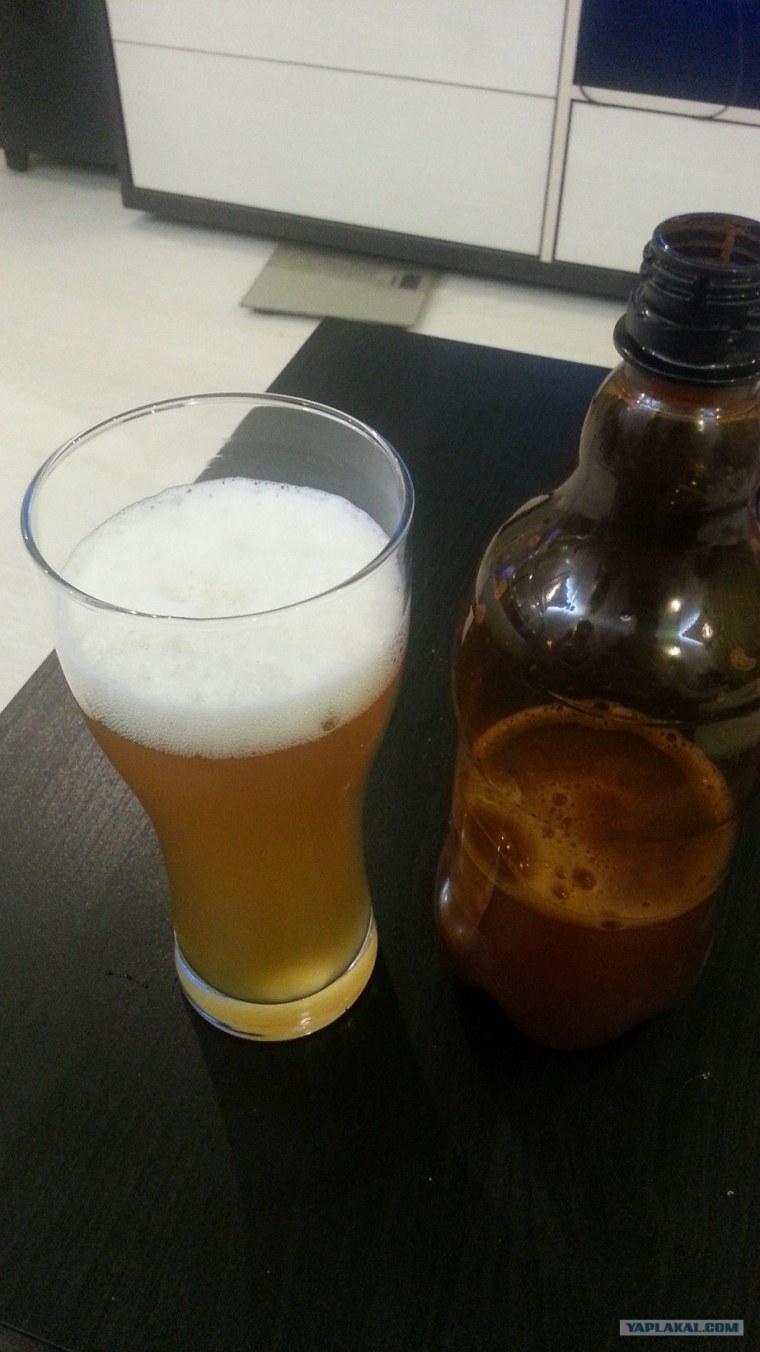 Домашнее пиво в бутылках