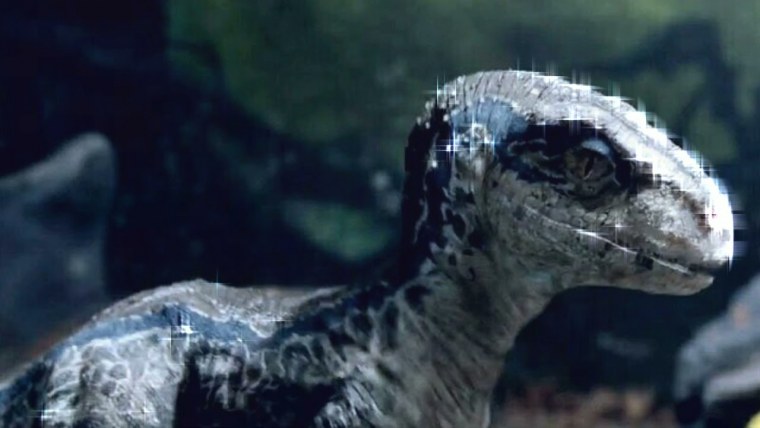 Раптор Блю из мир Юрского периода