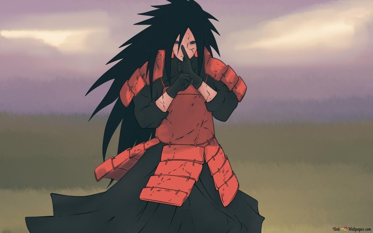 Мадара вырезанный