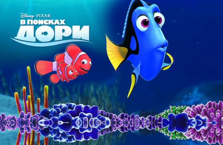 Рыбка дори мультфильм