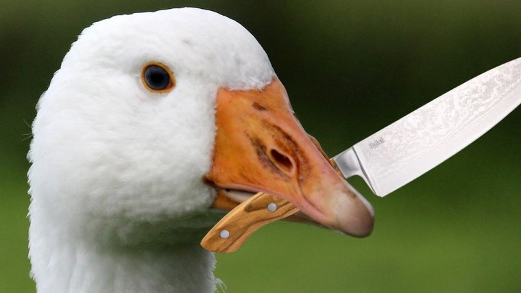 Опасный Гусь