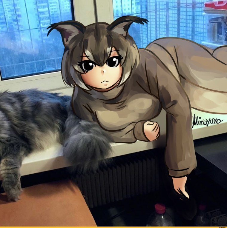 Каракал хуманизация