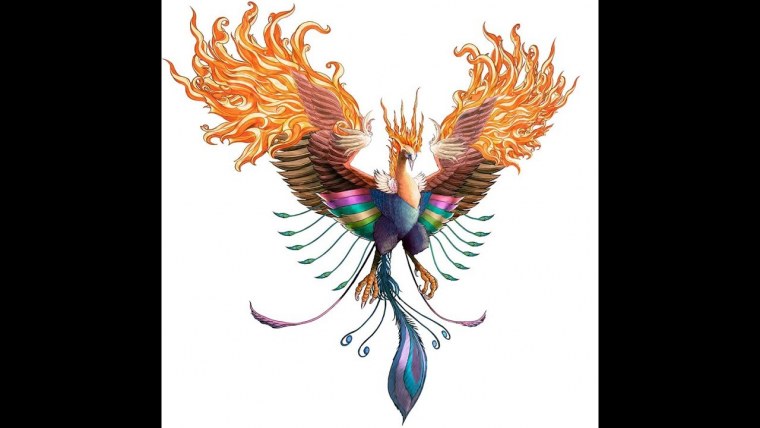 Читтак куш расми