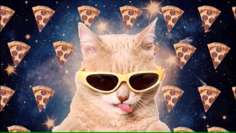 Кот с пиццей